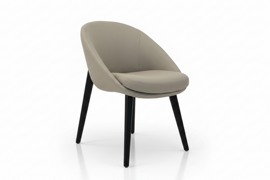 Dining Chair 1